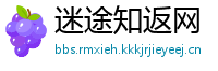 迷途知返网